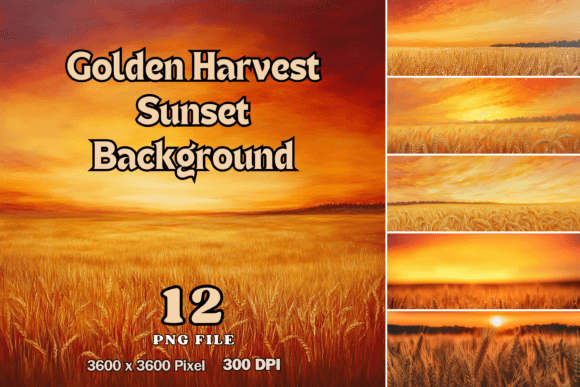 Download Golden Harvest Sunset Background - Sunset background Collection